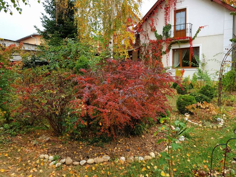  - 2018_Idilic garden iulie-oct