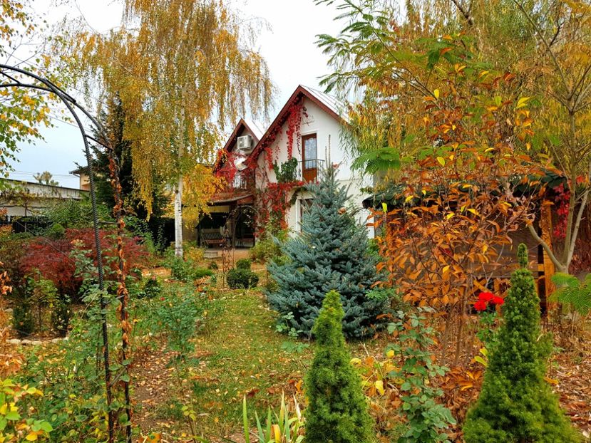  - 2018_Idilic garden iulie-oct