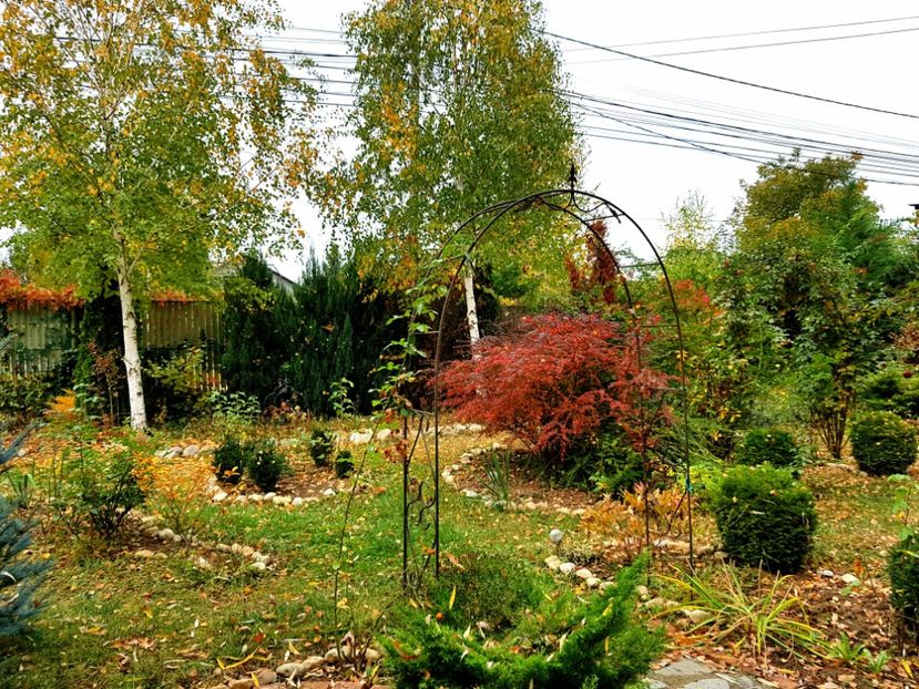  - 2018_Idilic garden iulie-oct