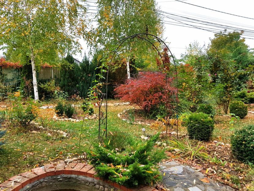  - 2018_Idilic garden iulie-oct