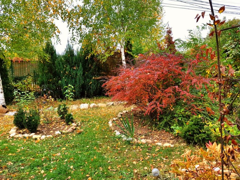  - 2018_Idilic garden iulie-oct