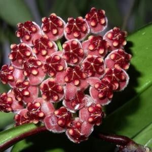 5b3f38-300 (1) - 2018