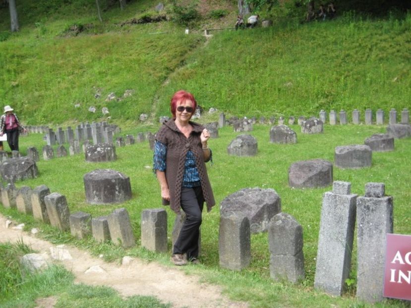  - Sarmisegetusa Regia