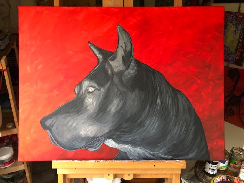 NERO. Prima mana - 0 PICTURILE MELE