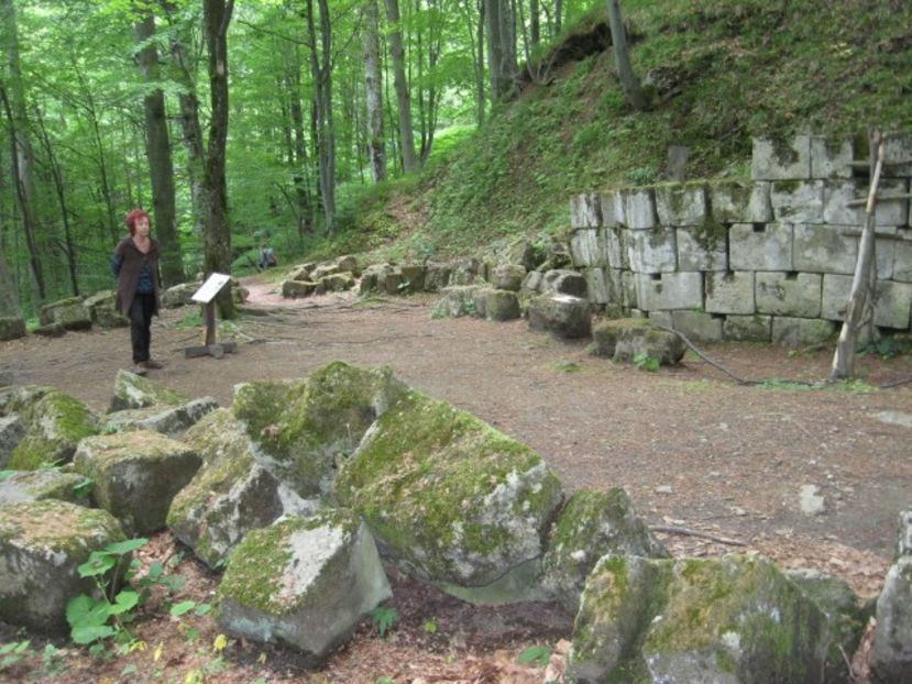  - Sarmisegetusa Regia