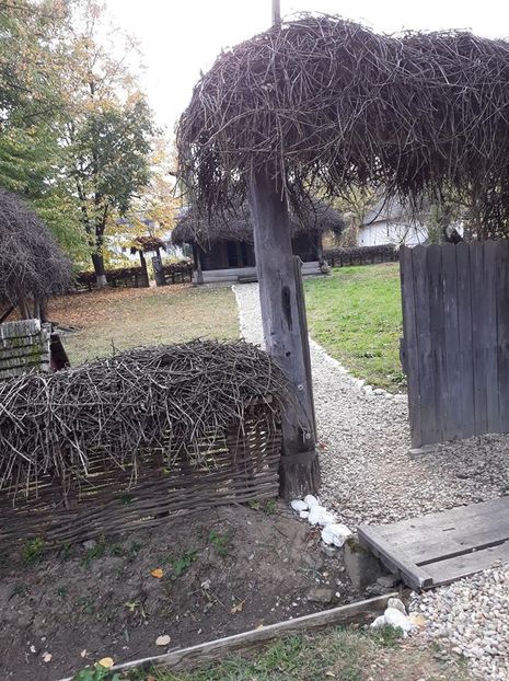  - 2018 - Excursie 21 octombrie