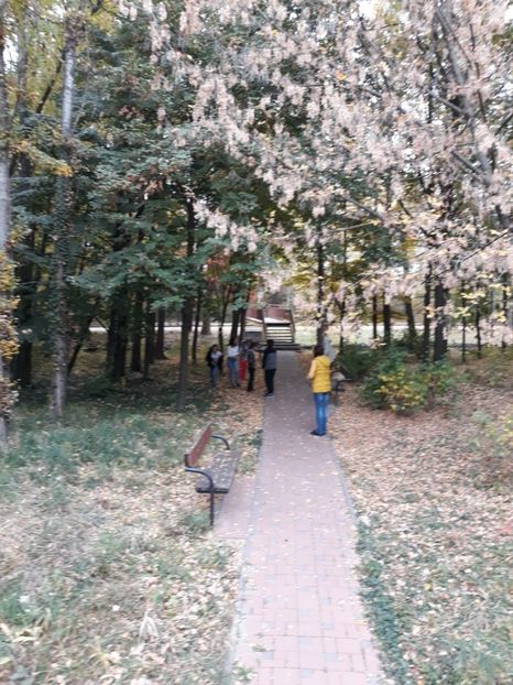  - 2018 - Excursie 21 octombrie