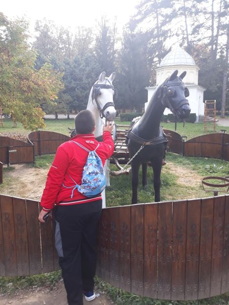  - 2018 - Excursie 21 octombrie
