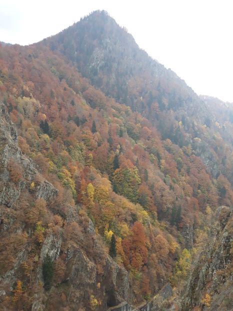  - 2018 - Excursie 21 octombrie