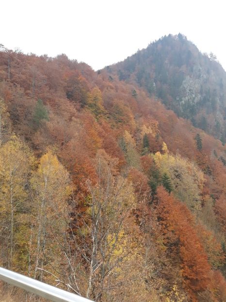  - 2018 - Excursie 21 octombrie