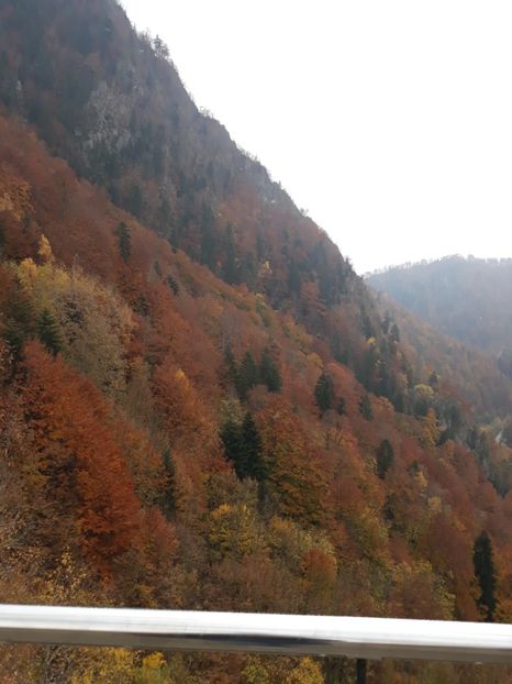  - 2018 - Excursie 21 octombrie