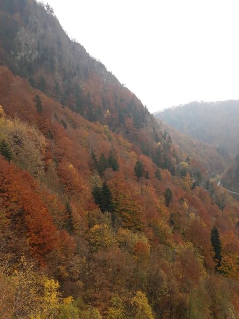  - 2018 - Excursie 21 octombrie