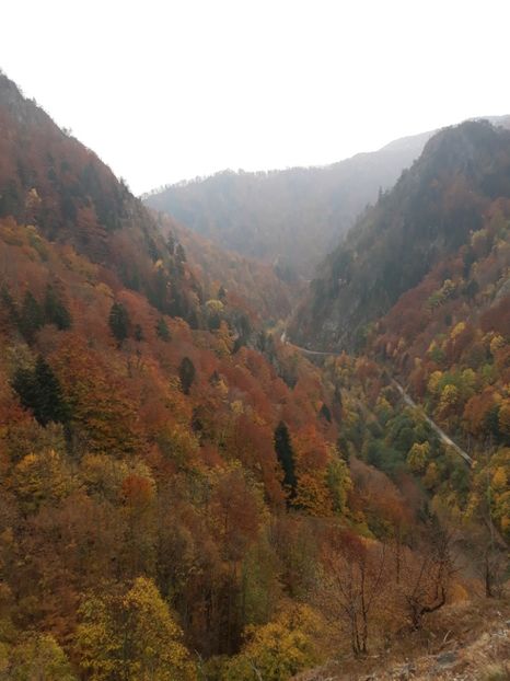  - 2018 - Excursie 21 octombrie