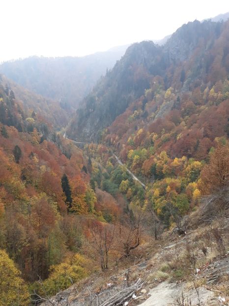  - 2018 - Excursie 21 octombrie