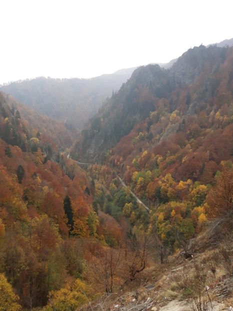  - 2018 - Excursie 21 octombrie