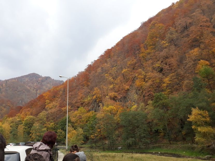  - 2018 - Excursie 21 octombrie