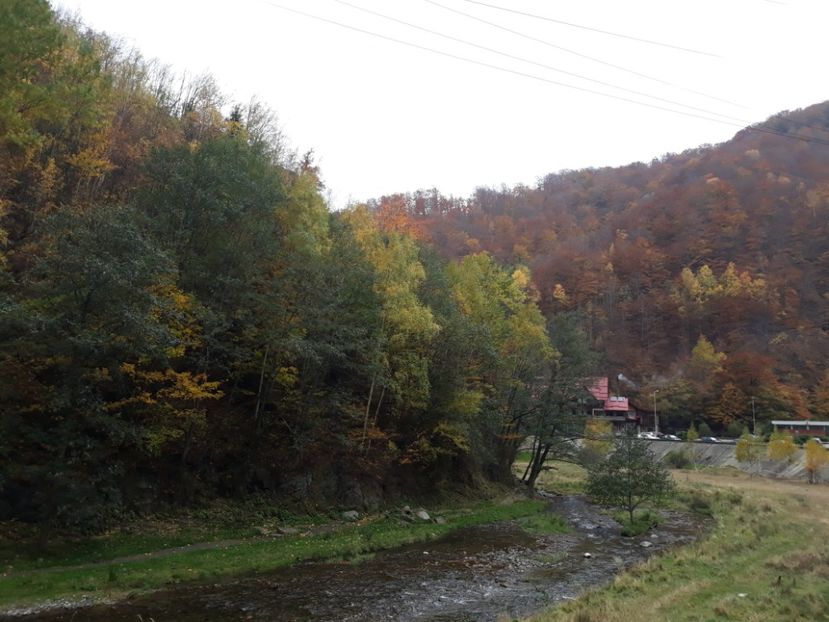  - 2018 - Excursie 21 octombrie