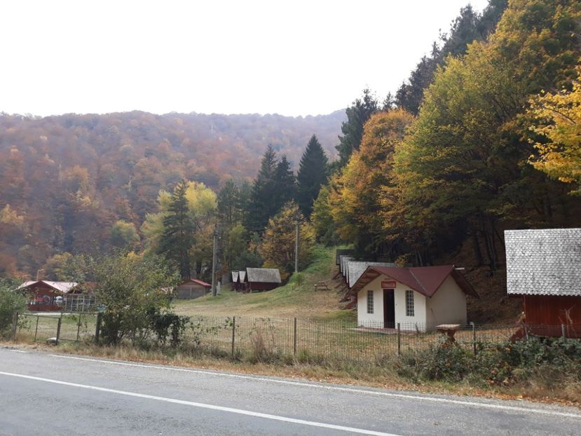  - 2018 - Excursie 21 octombrie