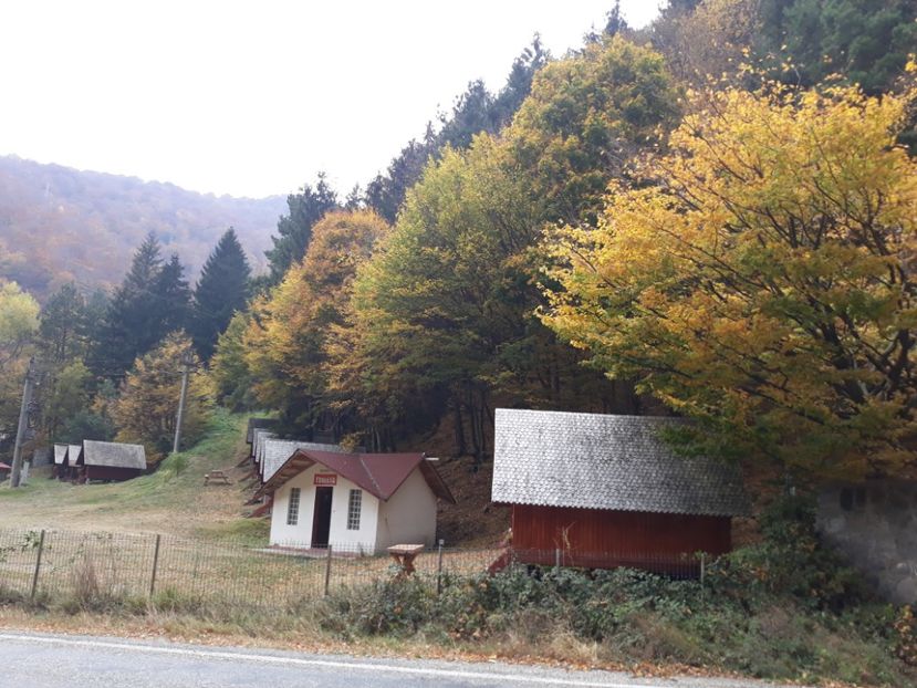  - 2018 - Excursie 21 octombrie