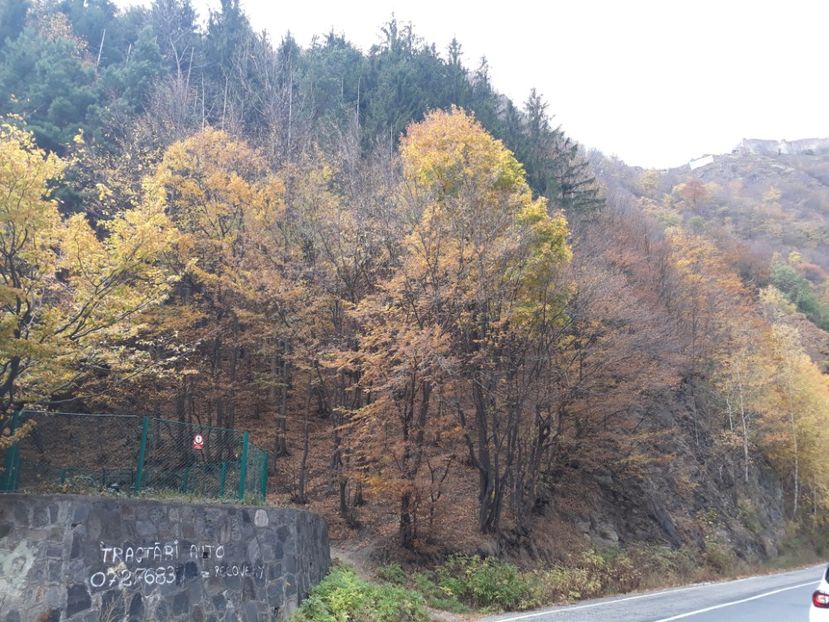  - 2018 - Excursie 21 octombrie