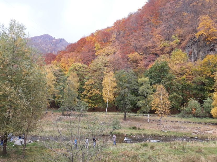  - 2018 - Excursie 21 octombrie