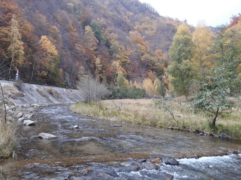  - 2018 - Excursie 21 octombrie