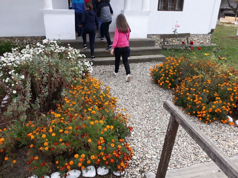  - 2018 - Excursie 21 octombrie
