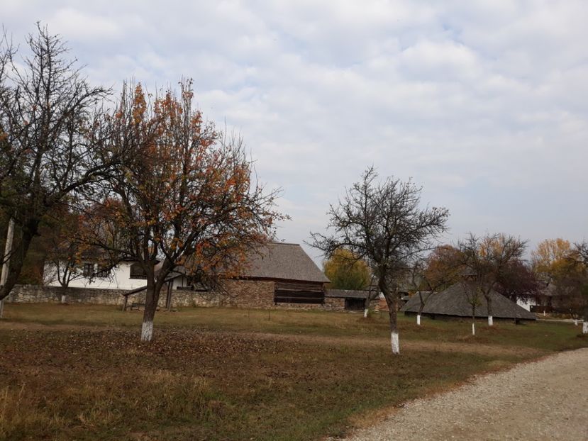  - 2018 - Excursie 21 octombrie