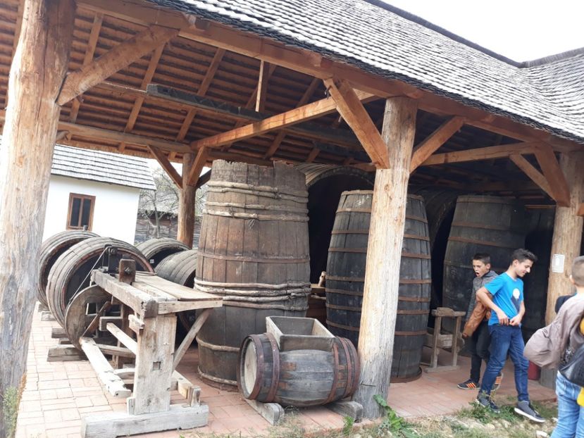  - 2018 - Excursie 21 octombrie