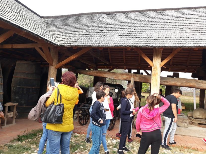  - 2018 - Excursie 21 octombrie