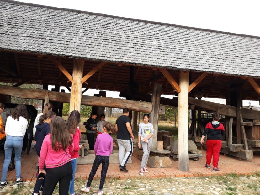  - 2018 - Excursie 21 octombrie