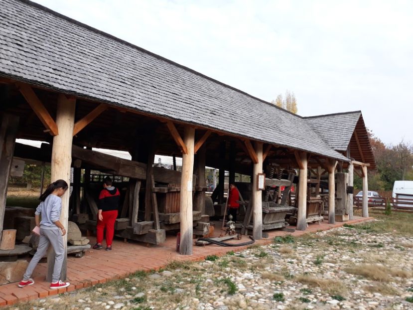  - 2018 - Excursie 21 octombrie
