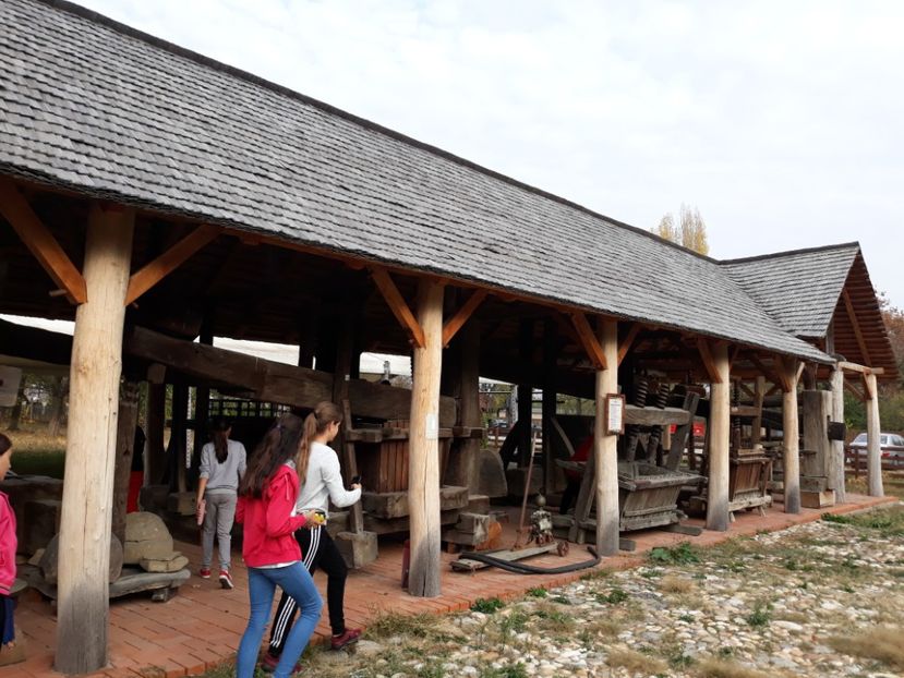  - 2018 - Excursie 21 octombrie