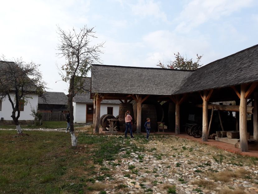  - 2018 - Excursie 21 octombrie