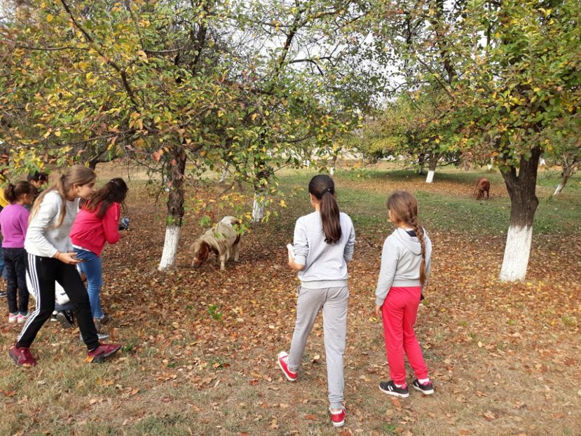  - 2018 - Excursie 21 octombrie