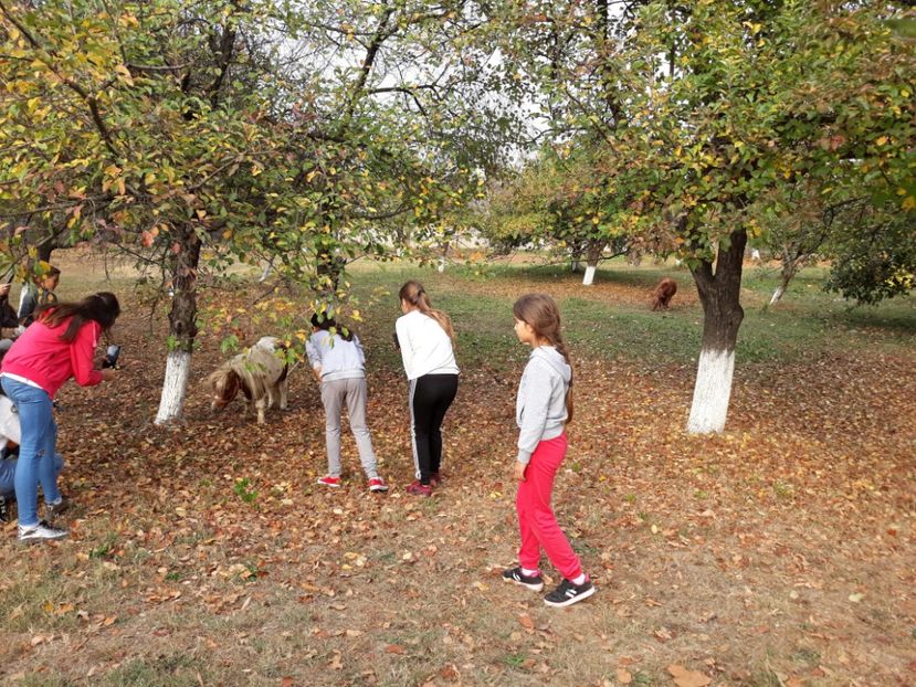  - 2018 - Excursie 21 octombrie