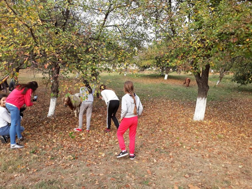  - 2018 - Excursie 21 octombrie