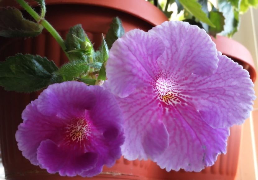 Charles M - Charles Martel