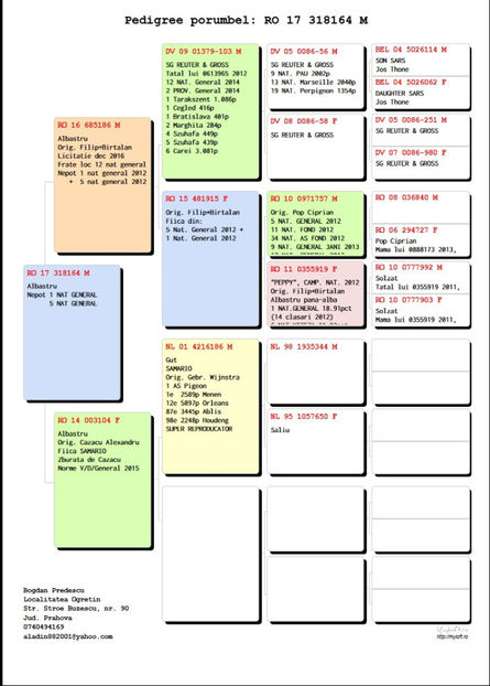 Pedigreu 318164 - 2017 - M - VANDUTI 2018-2019-2020