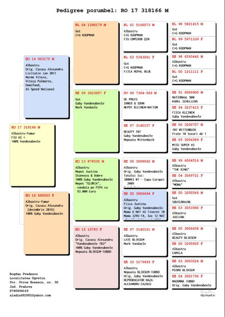 Pedigreu 318166 - 2017 - M - VANDUTI 2018-2019-2020
