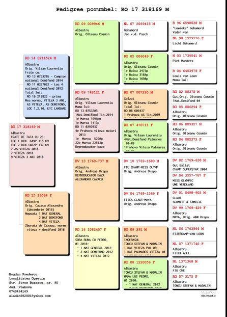 Pedigreu 318169 - 2017 - M - VANDUTI 2018-2019-2020