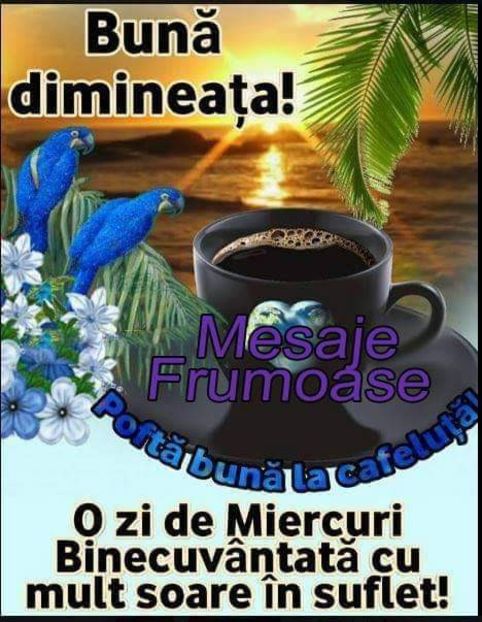  - Poze 5