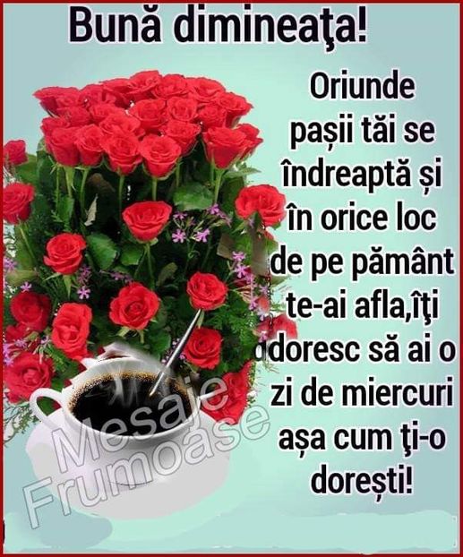  - Poze 5