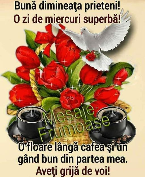  - Poze 5