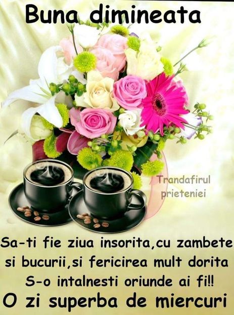  - Poze 5