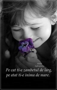  - Poze 5