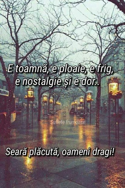  - Poze 5
