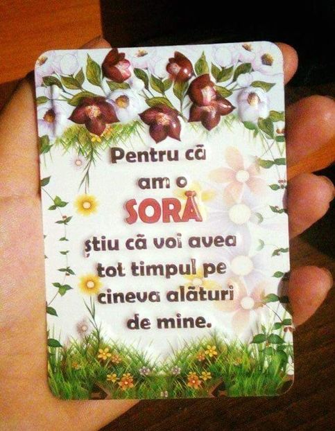  - Poze 5