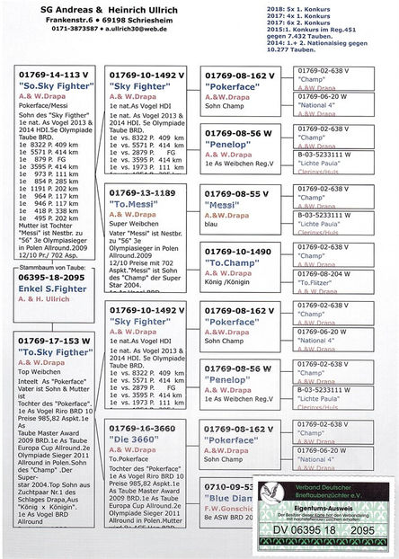 ped "Miss Fighter" - Miss Fighter