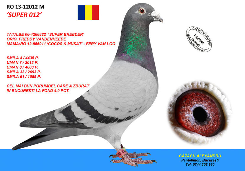 Semifrate "Freddy 553" - Freddy 553 - 300 RON